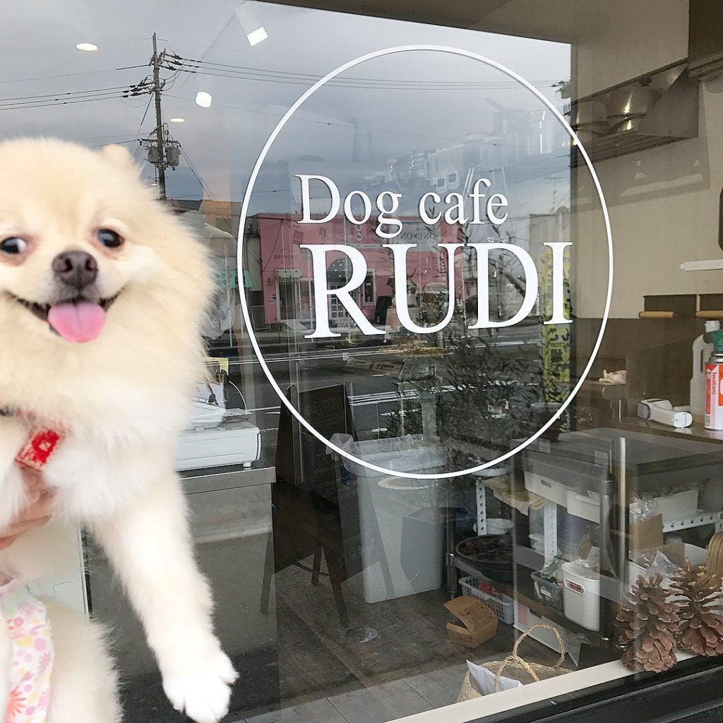 大阪ドッグカフェ Dog Cafe Rudi きなこちゃんの写真レポとお店の詳細 メニュー 場所 特徴など おでかけわんこ部 愛犬とのおでかけスポット カフェ 宿 を紹介