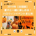 2019犬と参加できるハロウィンイベント特集