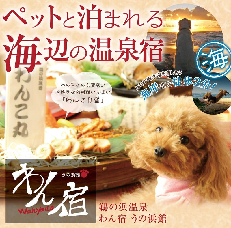 東日本 の犬と泊まれる温泉宿5選 雪遊びや海水浴が楽しめる宿も おでかけわんこ部 愛犬とのおでかけスポット カフェ 宿 を紹介