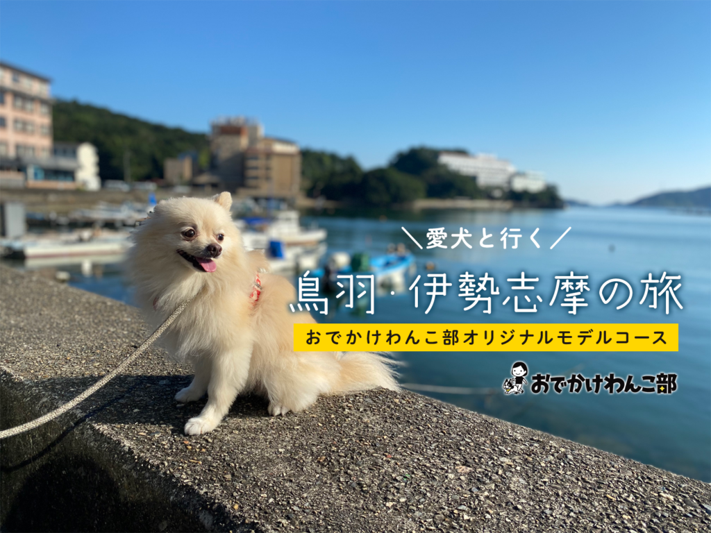 愛犬と鳥羽 伊勢志摩にプチ旅行 モデルコース大公開 わんこ店内okのレストランや犬と泊まれる宿に水族館を愛犬と満喫しよう おでかけわんこ部 愛犬とのおでかけスポット カフェ 宿 を紹介