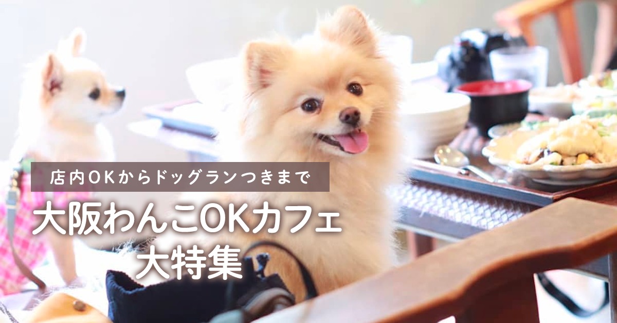 大阪のドッグカフェ50選 わんこ同伴okのお店を画像付きで紹介 愛犬と行きたいお店がきっと見つかる おでかけわんこ部