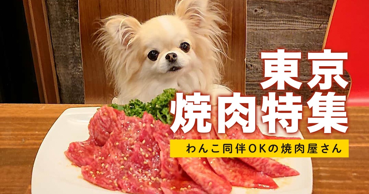 21 東京ペット 犬 可の焼肉屋さん5選 新オープンや店内ok 大型犬okの焼肉店をご紹介します おでかけわんこ部 愛犬とのおでかけスポット カフェ 宿 を紹介