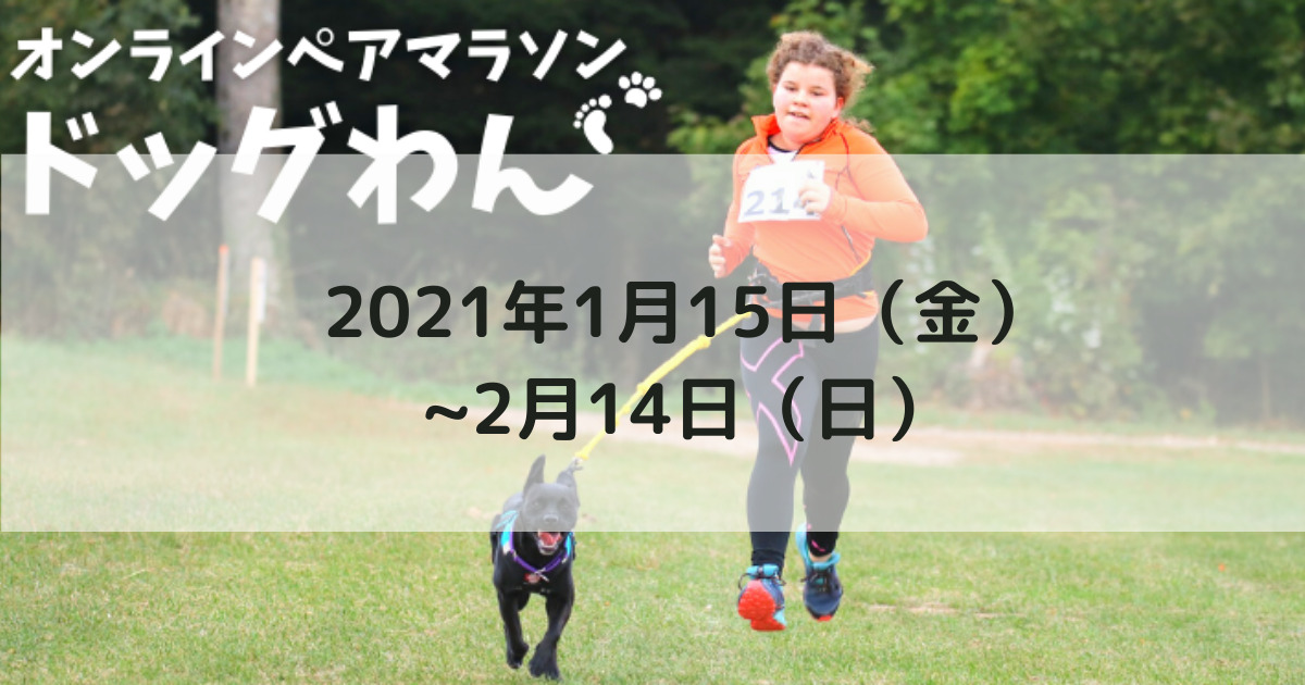 全国 犬のイベント 愛犬と一緒に走るオンラインペアマラソン ドッグわん 全国 おでかけわんこ部 愛犬とのおでかけスポット カフェ 宿 を紹介