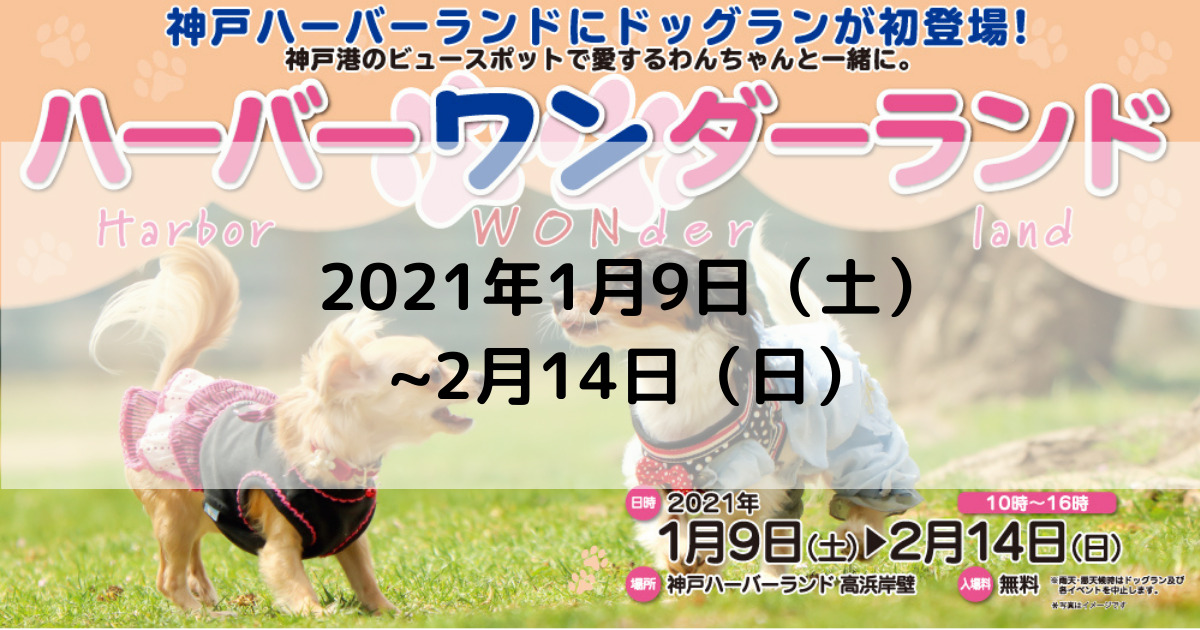 兵庫県 犬のイベント ハーバーワンダーランド 神戸ハーバーランド おでかけわんこ部 愛犬とのおでかけスポット カフェ 宿 を紹介