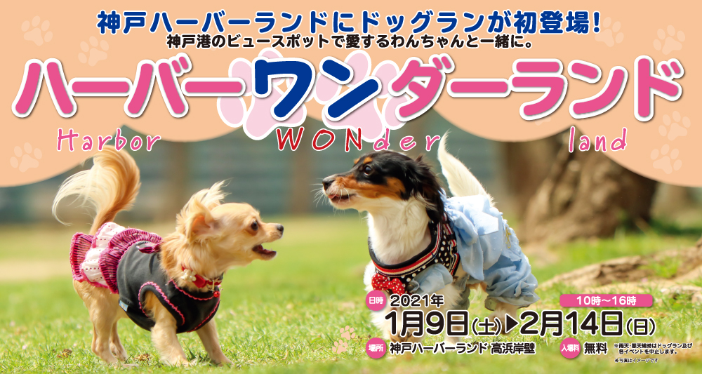 兵庫県 犬のイベント ハーバーワンダーランド 神戸ハーバーランド おでかけわんこ部 愛犬とのおでかけスポット カフェ 宿 を紹介