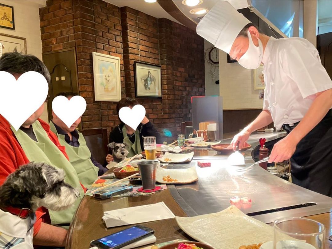 ビーフキッチン ながかわ」に行ってきたよ！ジョーくんから写真レポが届きました！福岡わんこOKレストランの詳細 – おでかけわんこ部 | 愛犬とのおでかけスポット（カフェ・宿）を紹介