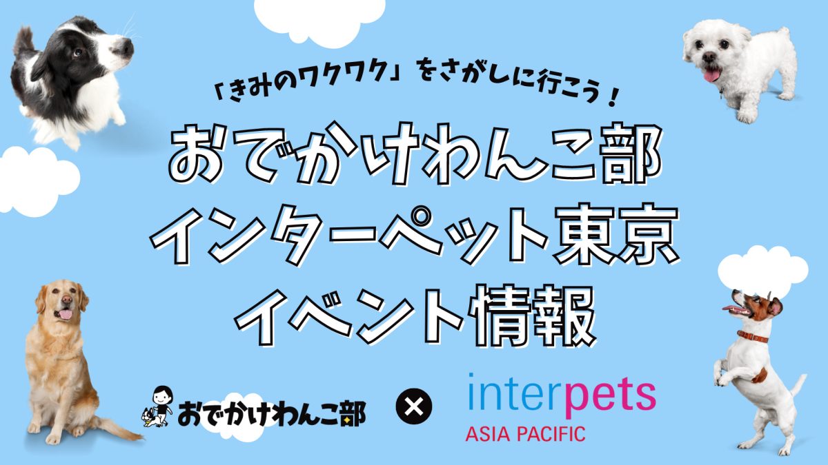 きみのワクワク をさがしに行こう おでかけわんこ部インターペット東京21イベント詳細 おでかけわんこ部 愛犬とのおでかけ スポット カフェ 宿 を紹介