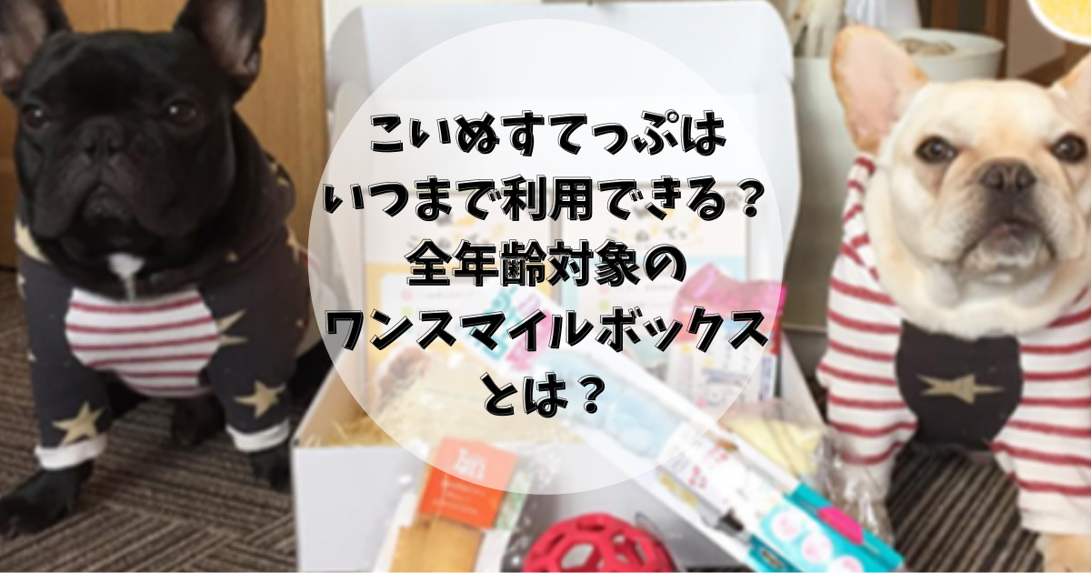 こいぬすてっぷはいつまで利用できる ワンスマイルボックスとは 子犬も成犬も喜ぶ嬉しいサービスの対象について調べてみた おでかけわんこ部 愛犬とのおでかけスポット カフェ 宿 を紹介 こいぬすてっぷはいつまで利用できる ワンスマイルボックスとは 子犬も成犬も喜ぶ嬉しいサービスの対象について調べてみた おでかけわんこ部 愛犬とのおでかけスポット カフェ 宿 を紹介