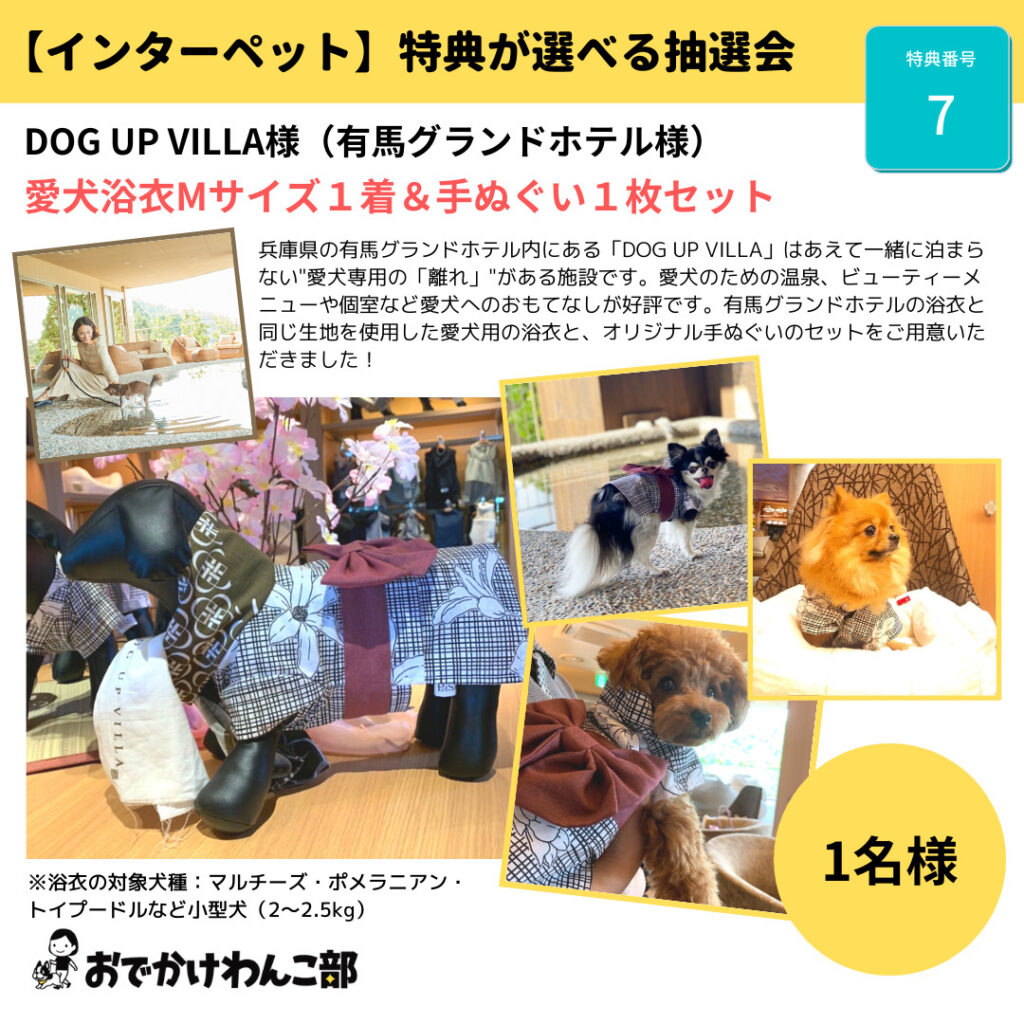 Dog Up Villa様の特典紹介ページ インターペット21 おでかけわんこ部 愛犬とのおでかけスポット カフェ 宿 を紹介