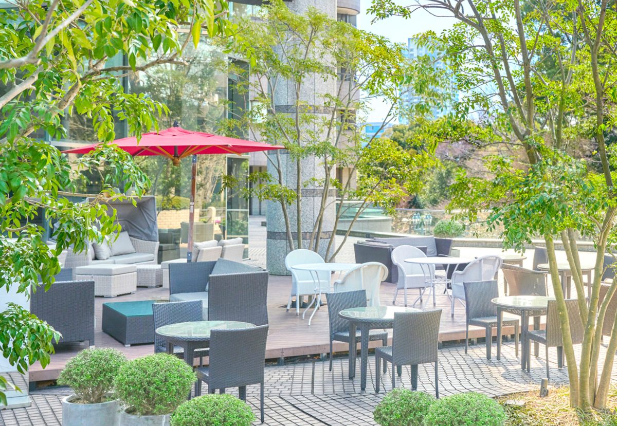 東京マリオットホテルの 御殿山テラス はドッグフレンドリー 無添加 無着色 グルテンフリーの愛犬用メニューも用意 東京 21年3月オープン おでかけわんこ部 愛犬とのおでかけスポット カフェ 宿 を紹介