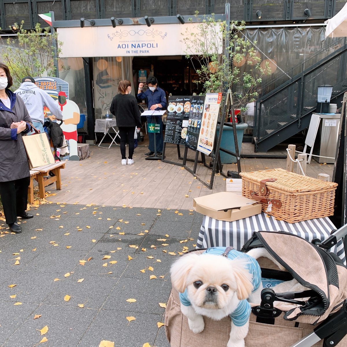 青いナポリ イン ザ パークに行ってきたよ うどんくんから写真レポが届きました 大阪府 わんこokカフェの詳細 おでかけわんこ部 愛犬とのおでかけスポット カフェ 宿 を紹介