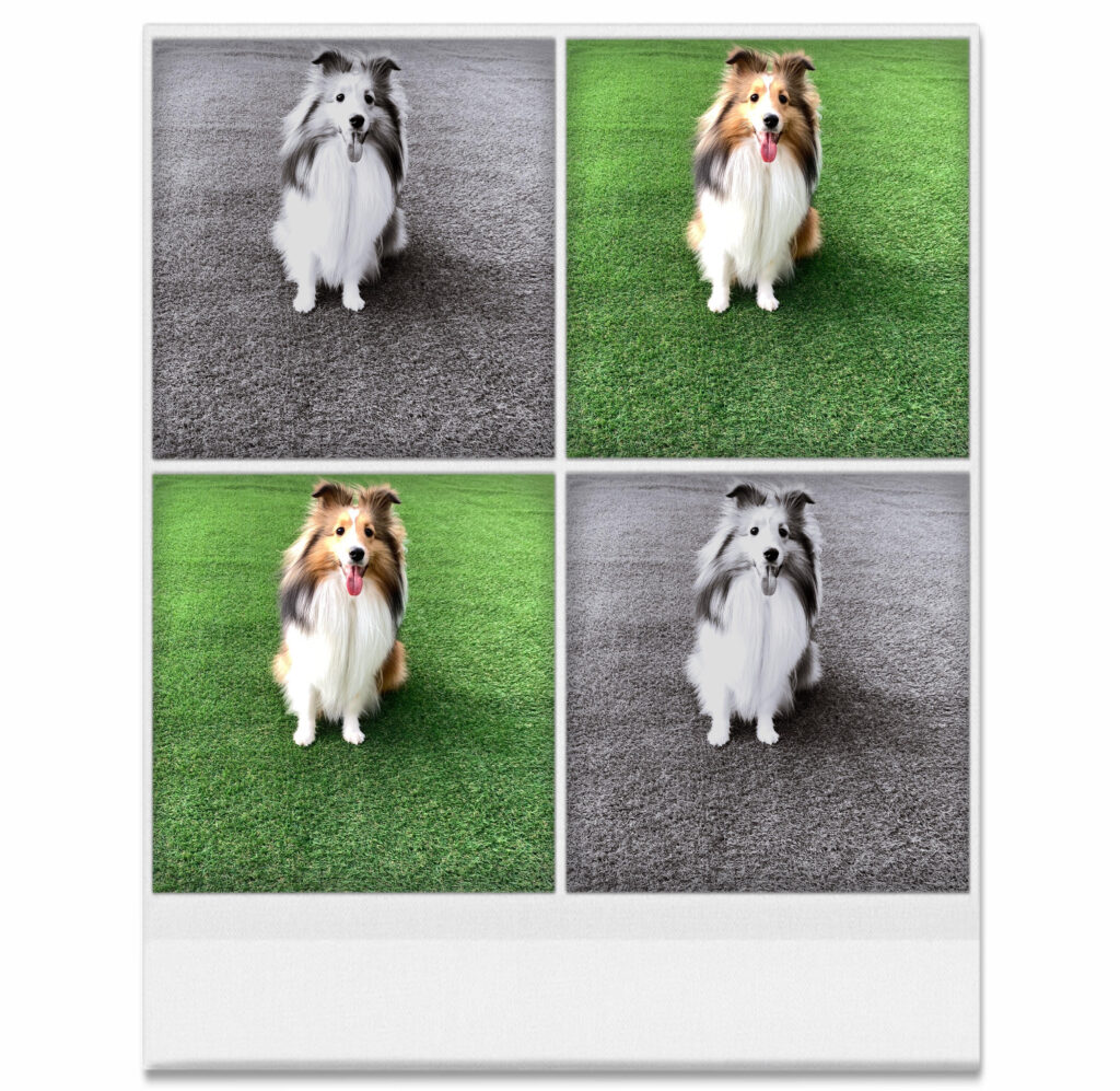 21年 愛犬の写真加工におすすめの無料アプリ6選 ディズニー風や絵画風も いつもの写真を簡単に楽しく可愛くアレンジ おでかけわんこ部 愛犬とのおでかけスポット カフェ 宿 を紹介