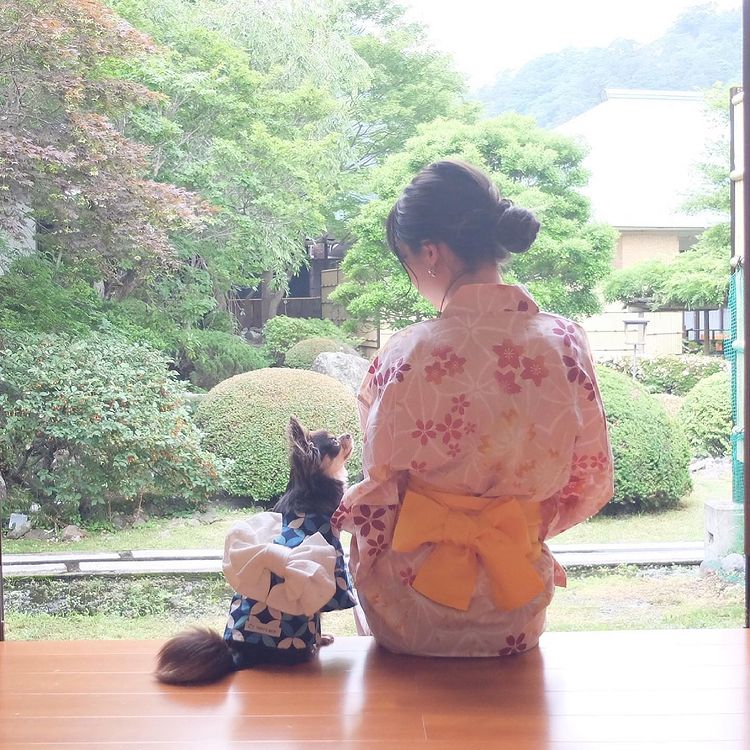 愛犬と楽しむ温泉旅館 鬼怒川絆 に泊まったよ ころんくんから写真レポが届きました 栃木県 犬と泊まれる宿の詳細 おでかけわんこ部 愛犬とのおでかけスポット カフェ 宿 を紹介