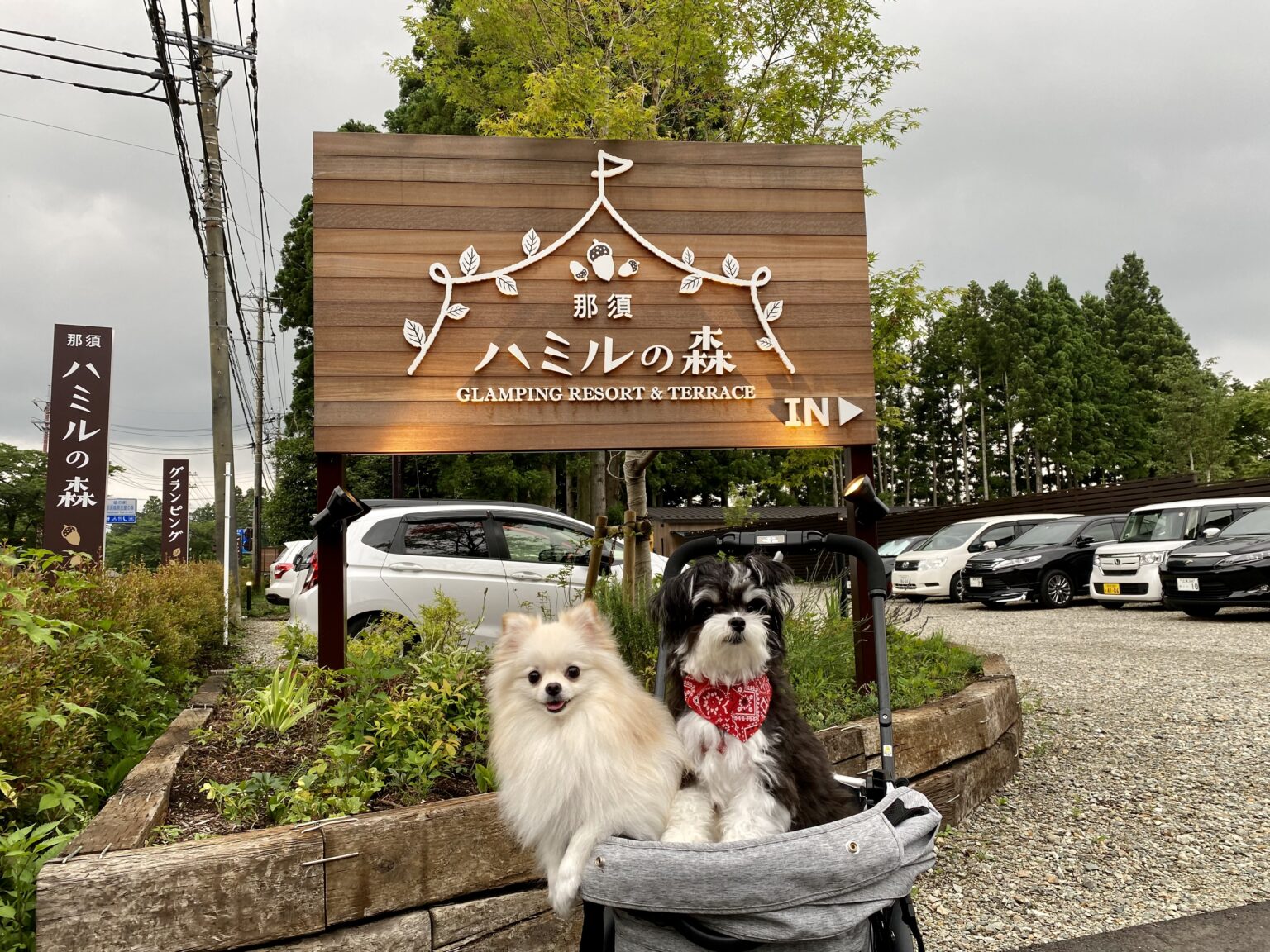 【栃木 ・犬と泊まれる宿】「那須ハミルの森」に泊まったよ!ミニョンちゃんポワルちゃんの写真レポが届きました おでかけわんこ部 愛犬とのおでかけスポット(カフェ・宿)を紹介 【栃木 ・犬と泊まれる宿】「那須ハミルの森」に泊まったよ!ミニョンちゃんポワルちゃんの写真レポが届きました おでかけわんこ部 愛犬とのおでかけスポット(カフェ・宿)を紹介