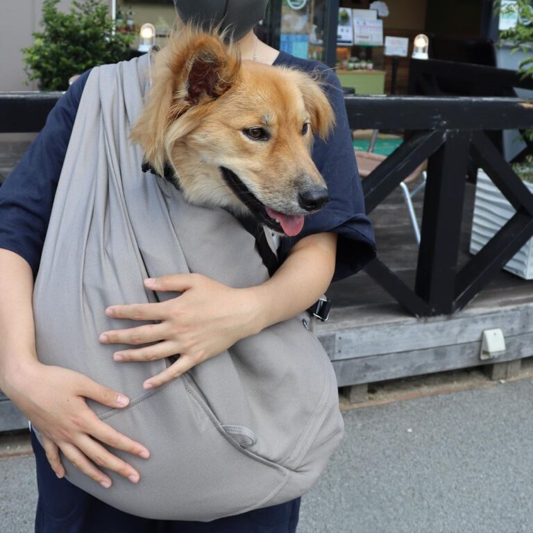 【ドッグスリングおすすめNo. 1の「erva」を徹底取材】人気の理由3つに迫る！中型犬やダックス・多頭も対応の日本製ブランドの唯一無二の