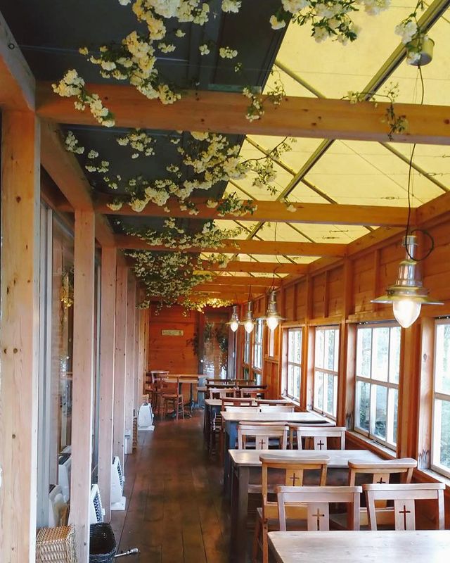 Atelier Basel アトリエ バーゼル に行ってきたよ まっしゅくんから写真レポが届きました 東京都 わんこokカフェの詳細 おでかけわんこ部 愛犬とのおでかけスポット カフェ 宿 を紹介 Atelier Basel アトリエ バーゼル に行ってきたよ まっしゅくんから写真レポが届きました 東京都 わんこokカフェの詳細 おでかけわんこ部 愛犬とのおでかけスポット カフェ 宿 を紹介