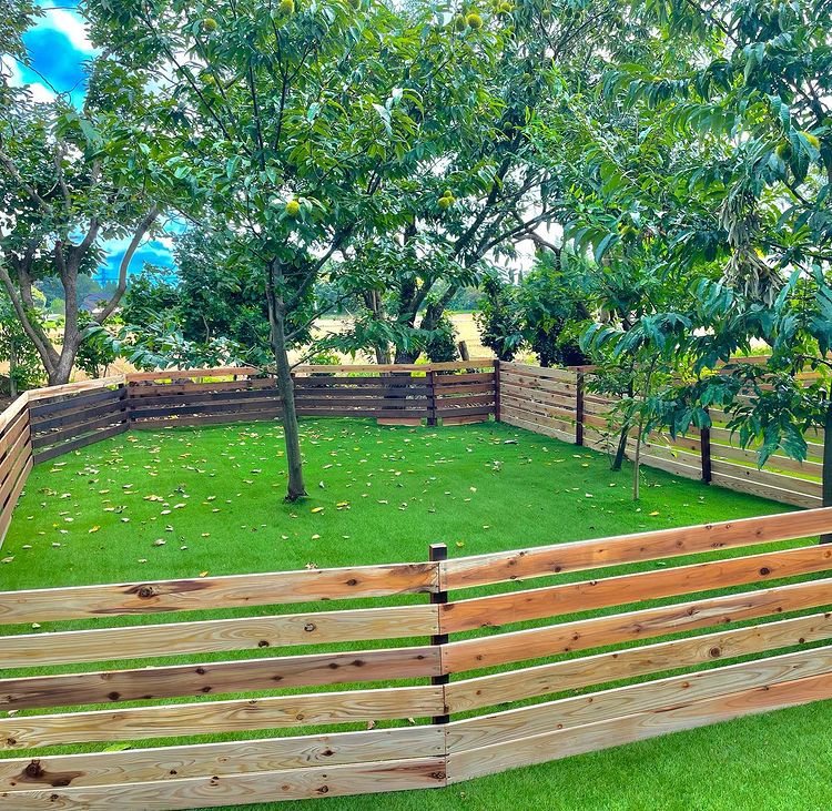 Cafe Nonoha カフェノノハ に行ってきたよ シェリィちゃんから写真レポが届きました 千葉県 わんこokカフェの詳細 おでかけわんこ部 愛犬とのおでかけスポット カフェ 宿 を紹介 Cafe Nonoha カフェノノハ に行ってきたよ シェリィちゃんから写真レポが届きました 千葉県 わんこokカフェの詳細 おでかけわんこ部 愛犬とのおでかけスポット カフェ 宿 を紹介