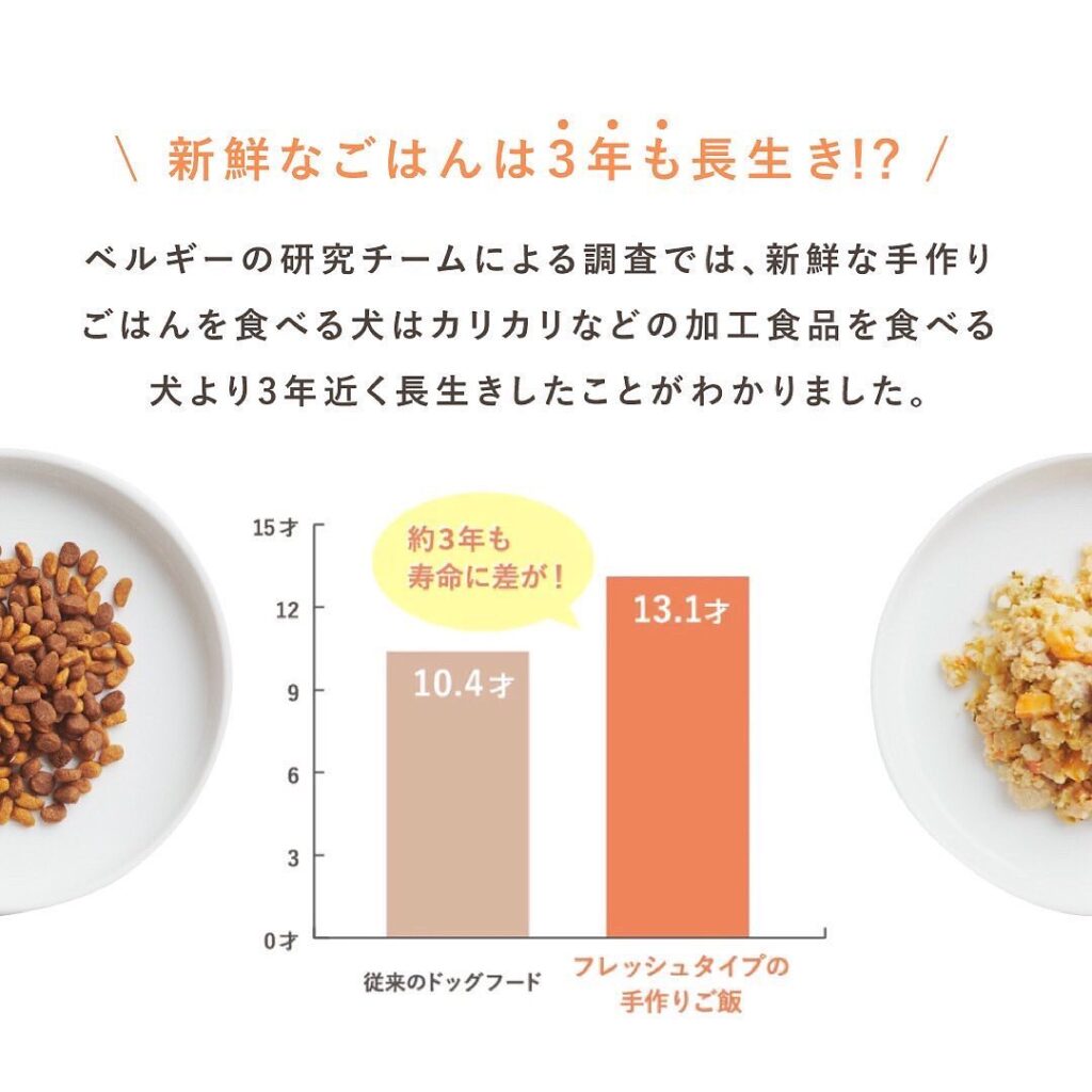 ペトコトフーズの値段はいくら 1日あたりで計算してみた 高価でも絶大な人気を集める3つの理由 おでわんスタッフわんこも実際に試してみました おでかけわんこ部 愛犬とのおでかけスポット カフェ 宿 を紹介