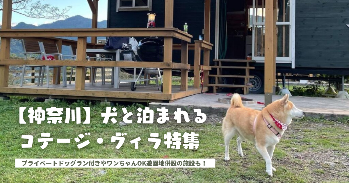 犬 と 泊まれる コテージ 神奈川