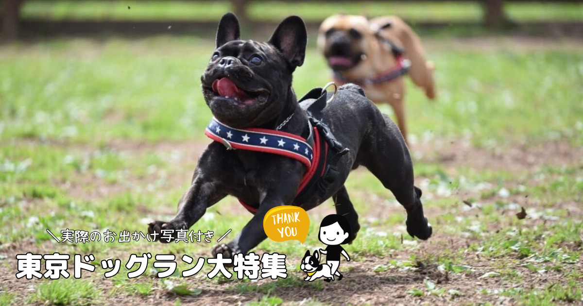 保存版 東京のドッグラン15選 実際のおでかけ写真 口コミ付きで紹介 無料の公園から複合施設まで マナーや持ち物コラムも おでかけわんこ部 愛犬とのおでかけスポット カフェ 宿 を紹介