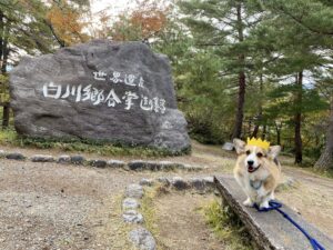 犬 と お出かけ モデル コース 岐阜 県