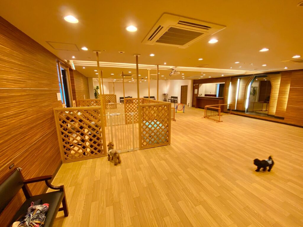 大阪 現地取材 1 の室内ドッグラン ドッグカフェも併設 愛犬ヴィレッジ天王寺店 が12 16にオープンしたので行ってきました おでかけわんこ部 愛犬とのおでかけスポット カフェ 宿 を紹介