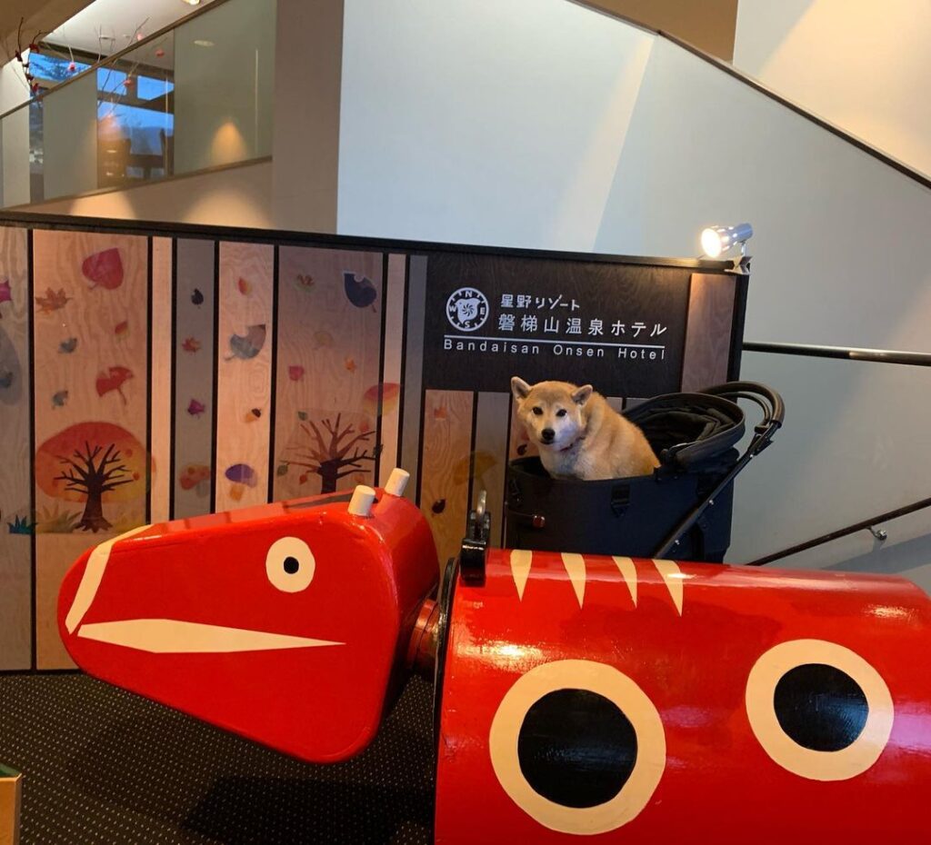 22 犬同伴で泊まれる星野リゾート大特集 8つのホテルを実際のお泊まり写真レポートで紹介 愛犬と特別な旅をしませんか おでかけわんこ部 愛犬とのおでかけスポット カフェ 宿 を紹介