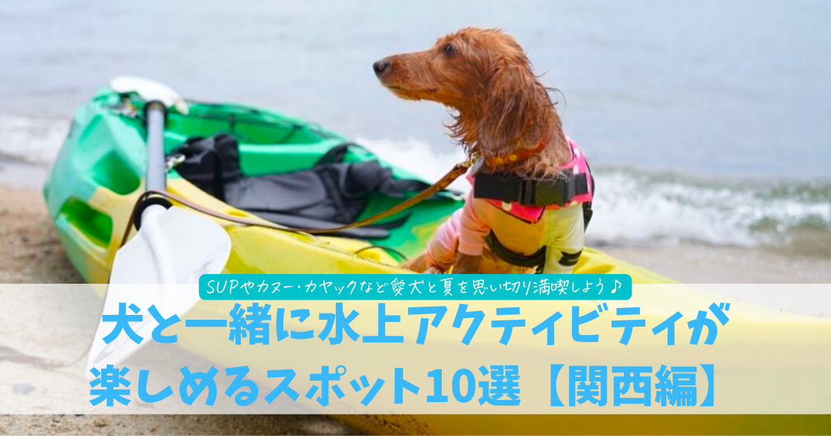 関西 愛犬とsupやカヌーを楽しめる水上アクティビティ大特集 実際のおでかけ写真レポあり 海や湖でわんこと特別な夏の思い出を おでかけわんこ部 愛犬とのおでかけスポット カフェ 宿 を紹介