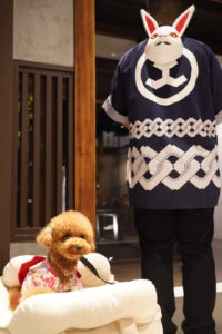 【京都・ペット可飲食店】「京都 兎珈琲」に行ってきたよ！Mimiちゃんから写真レポが届きました！ – おでかけわんこ部 | 愛犬とのおでかけ
