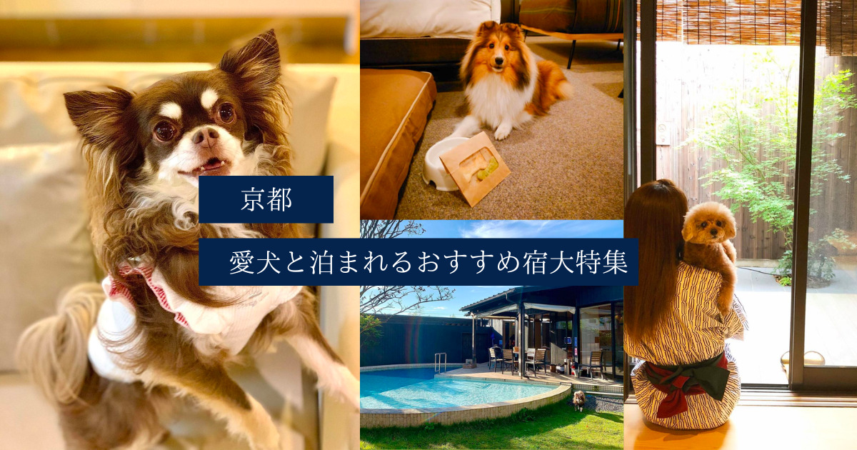 京都 犬と泊まれる宿11選 口コミ 実際のおでかけレポート付き 一棟貸切の宿からドッグラン付き宿 ラグジュアリーホテルそしてリーズナブルなシティホテルまで おでかけわんこ部 愛犬とのおでかけスポット カフェ 宿 を紹介