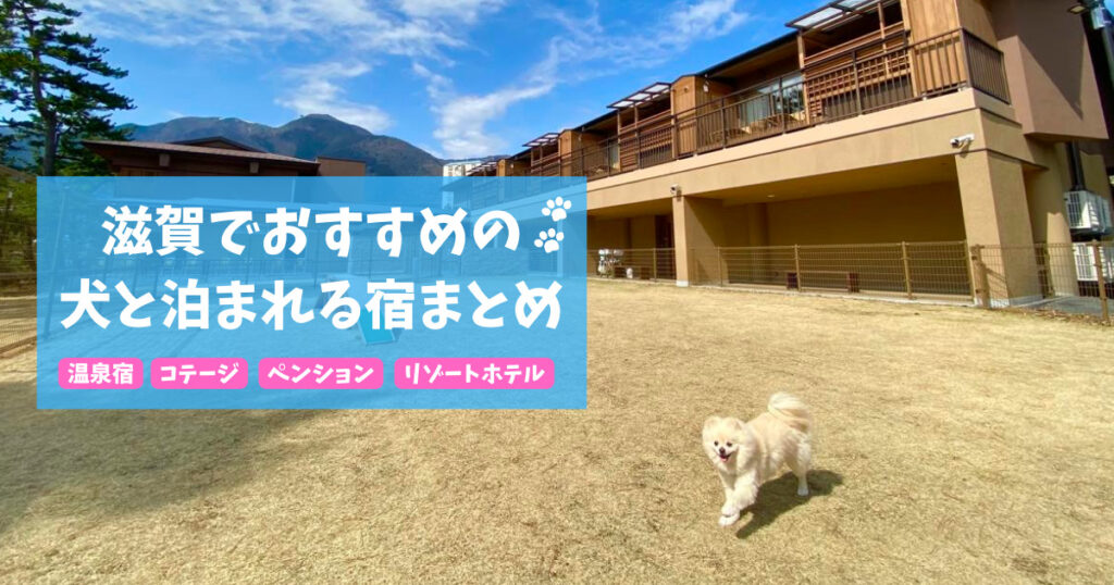 【滋賀】犬と泊まれる宿20選!実際のおでかけレポート口コミ付き 人気の温泉宿からホテル・コテージを紹介します おでかけわんこ部 愛犬とのおでかけスポット(カフェ・宿)を紹介 【滋賀】犬と泊まれる宿20選!実際のおでかけレポート口コミ付き 人気の温泉宿からホテル・コテージを紹介します おでかけわんこ部 愛犬とのおでかけスポット(カフェ・宿)を紹介