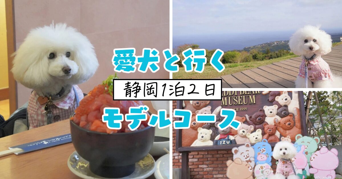 犬とお出かけ 静岡1泊2日モデルコース】人気の伊豆でグルメや体験を 