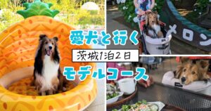 倍々+5倍！最大ポイント26倍！本日限定！セイコー セレクション SEIKO SELECTION ソーラー 電波時計 流通限定モデル 腕時計 メンズ SBTM325 倍々+5倍！最大ポイント26倍！本日限定！フォルツァ10 Forza10