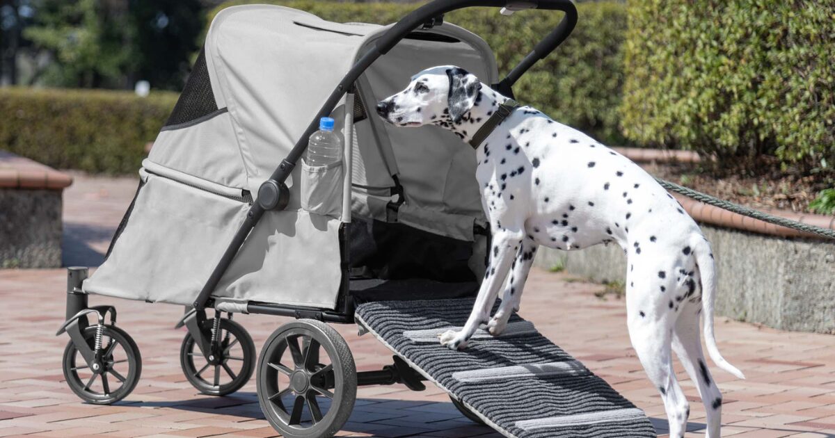 タンスのゲン】シニア犬・大型犬向けペットカート「スロープ付きペット 
